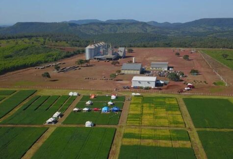 BNDES direciona R$ 40 mi a cooperativa do PP para armazenagem de grãos