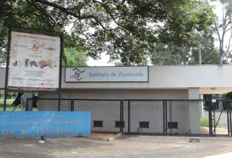 Instituto de Zootecnia comemora 119 anos de pesquisa e inovação na agropecuária