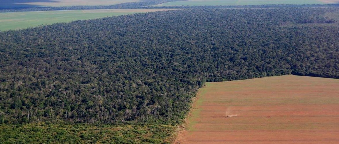 Proprietários de terras em regiões de fronteira têm um ano para providenciar regularização